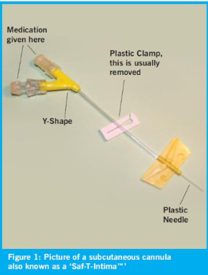 Picture of Subcutaneous Cannula also known as a 'Saf-T-Intima