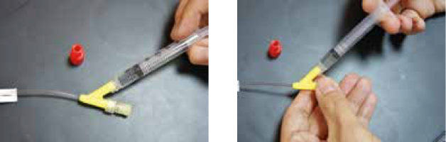 Injection into cannula
